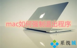 mac如何强制退出程序 mac强制退出快捷键