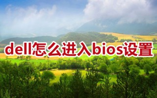 dell怎么进入bios设置 dell进入bios设置的方法