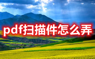 pdf扫描件怎么弄 导出pdf扫描件的方法介绍