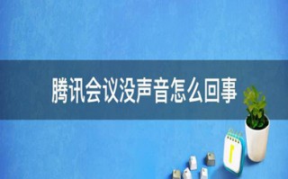 腾讯会议没有声音怎么回事 电脑腾讯会议没有声音的解决方法