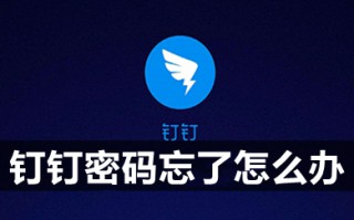 钉钉密码忘了怎么办 钉钉密码忘了怎么重新设置