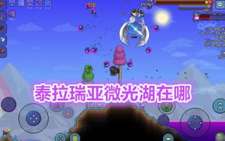 泰拉瑞亚微光湖在哪 泰拉瑞亚微光湖有什么用