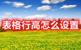 表格行高怎么设置 表格行高怎么调整