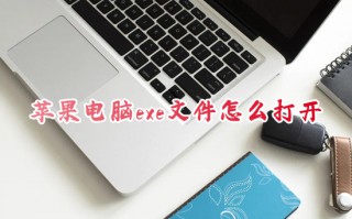 苹果电脑exe文件怎么打开 苹果电脑如何打开exe文件