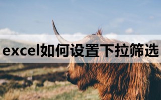 excel如何设置下拉筛选 excel设置下拉筛选的操作步骤