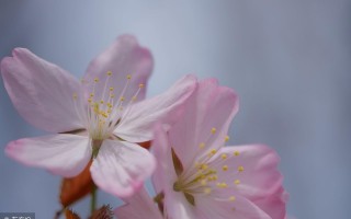 醉生梦死的经典句子（每天都是醉生梦死的状态说说）