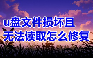 u盘文件损坏且无法读取怎么修复 u盘文件损坏打不开怎么修复