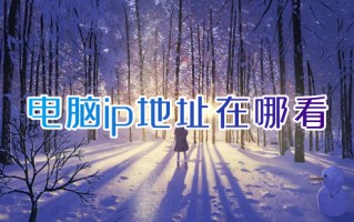 电脑ip地址在哪看 如何查看电脑ip地址