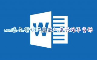word怎么把证件照嵌入单元格不变形 word表格怎么插证件照正好合适