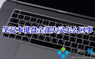 笔记本键盘全部失灵怎么回事 笔记本键盘被锁住了的解决方法
