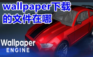 wallpaper下载的文件在哪 小红车wallpaper视频保存在哪