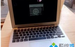 苹果电脑花屏死机的原因和解决方法