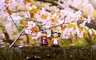 描写樱花的好句子（赞美樱花的优美简短句子）