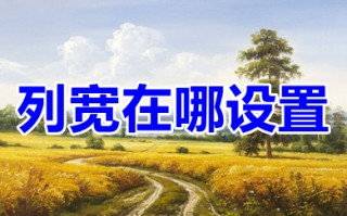 列宽在哪设置 excel列宽设置方法