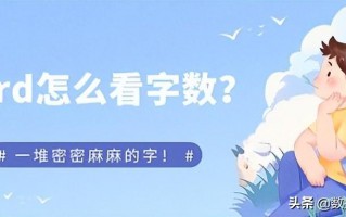 电脑wps怎么看字数（分享word看字数方法）