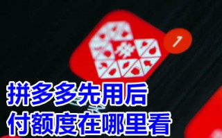 拼多多先用后付额度在哪里看 拼多多先用后付额度怎么查看