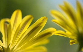 新的一天充满阳光正能量的句子简短（早安的句子发朋友圈正能量）