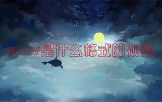 mov是什么格式的视频 mov和mp4区别