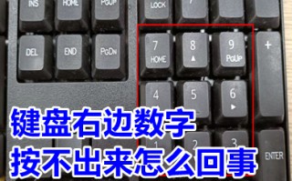 键盘右边数字按不出来怎么回事 键盘右边数字打不出来怎么解锁