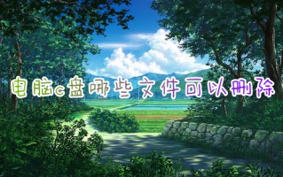 电脑c盘哪些文件可以删除 c盘爆红了可以删除哪些文件