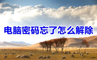 电脑密码忘了怎么解除 电脑密码忘了的解除方法介绍