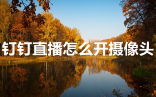 钉钉直播怎么开摄像头 钉钉上直播的摄像头怎么打开