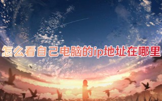 怎么看自己电脑的ip地址在哪里 如何查看电脑ip地址