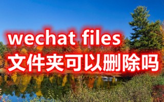wechat files文件夹可以删除吗 c盘中的wechat哪些可以删除