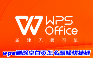 wps删除空白页怎么删除快捷键 wps末尾空白页死活删不掉怎么办