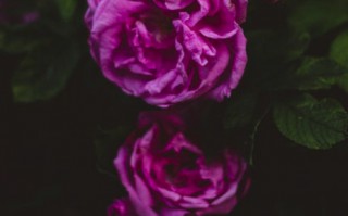 再回首的唯美句子（再回首往事的心情简短句子）