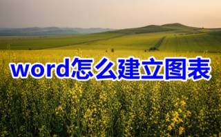word怎么建立图表 word图表怎么制作