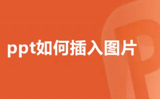 ppt如何插入图片 ppt如何添加图片