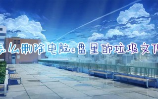 怎么删除电脑c盘里的垃圾文件 c盘变红了如何清理