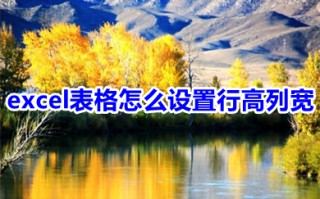 excel表格怎么设置行高列宽 excel在哪里设置行高列宽