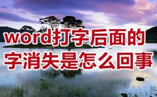 word打字后面的字消失是怎么回事 word打字不显示不出来怎么办