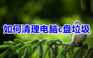 如何清理电脑c盘垃圾 清理电脑c盘垃圾的六种方法介绍