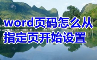 word页码怎么从指定页开始设置 word页码怎么自动排序