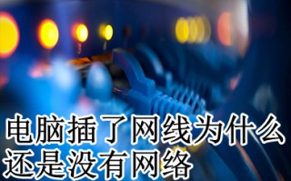 电脑插了网线为什么还是没有网络 win10插上网线后无internet的解决方法