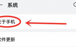 苹果手机白天户外屏幕太暗怎么办（是这个开关没打开）