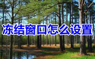 冻结窗口怎么设置 excel表格冻结窗口的设置方法