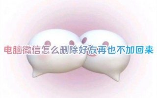 电脑微信怎么删除好友再也不加回来 怎么一键批量删除微信好友