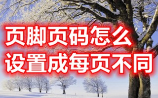 页脚页码怎么设置成每页不同 word设置页脚页码每页不同的方法介绍