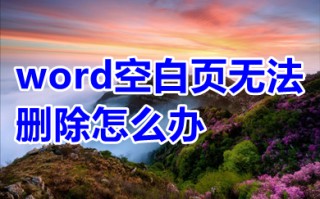 word空白页无法删除怎么办 怎么将word里的空白页删除