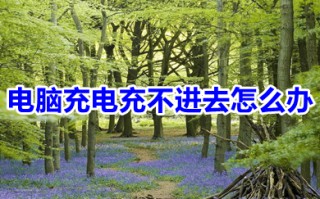 电脑充电充不进去怎么办 电脑充电器突然充不上电了怎么回事