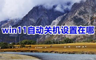 win11自动关机设置在哪 win11定时关机设置在哪