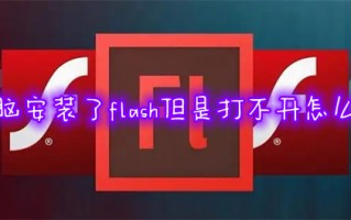 电脑安装了flash但是打不开怎么办 flash安装好了无法打开如何解决
