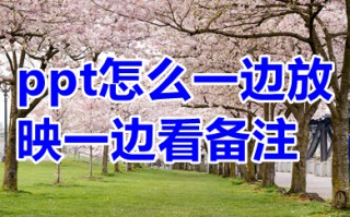 ppt怎么一边放映一边看备注 ppt如何只让演讲者看到备注