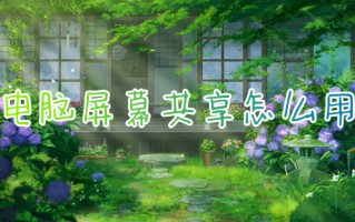 电脑屏幕共享怎么用 电脑屏幕共享的使用方法