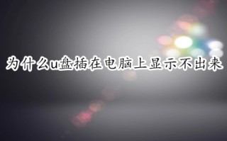 为什么u盘插在电脑上显示不出来 电脑检测不出u盘怎么办
