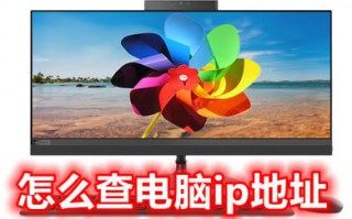 电脑ip地址在哪里看（分享3个实用查ip方法）